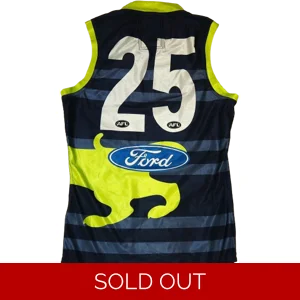 Geelong Cats 2014 Player Worn Training Jersey - RIVERS - Large (bc1R1a)x