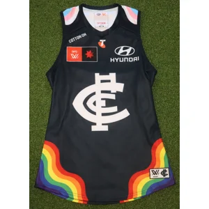 Carlton Blues AFLW 2025 MATCH SPARE Pride Jersey - L8