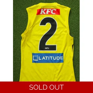 Richmond Tigers 2025 Player Worn Training Jersey - HOPPER - Medium