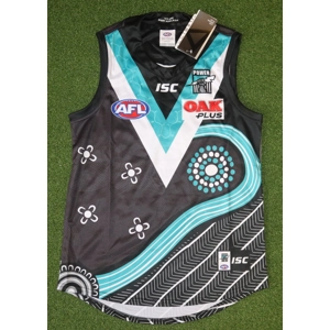 Port Adelaide Power 2019 Indigenous Jersey - Small