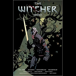 WITCHER OMNIBUS TP VOL 01