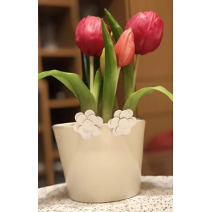 Pearl earring - white