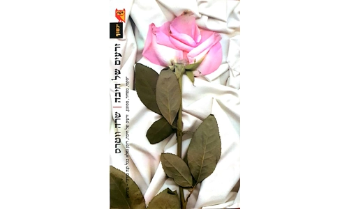 שרה ווטרס - זרעים של חיבה