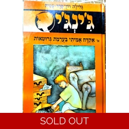 גלילה רון פדר עמית - ג'ינג'י - אקדח אמיתי בערימת גרוטאות