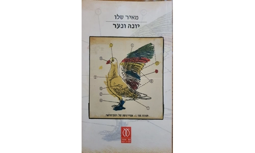 מאיר שלו - יונה ונער