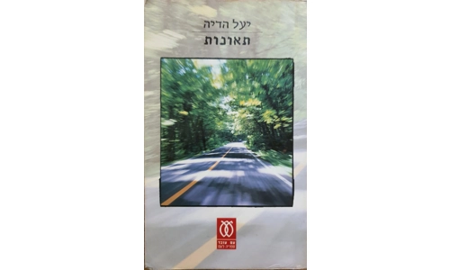 יעל הדיה - תאונות