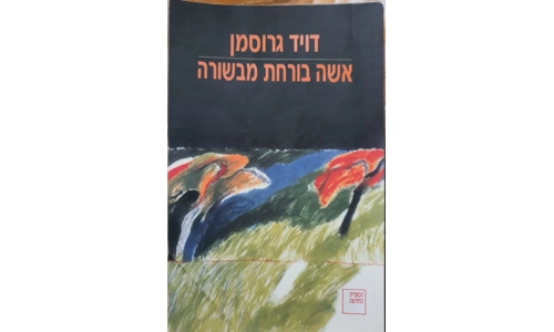דויד גרוסמן - אשה בורחת מבשורה