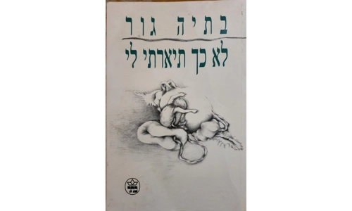 בתיה גור - לא כך תיארתי לי