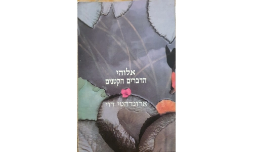 ארונדהטי רוי - אלוהי הדברים הקטנים