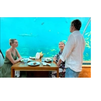 Love in the Maldives HMK (2023) HD 1080p Love in the Maldives HMK (2023) HD 1080p