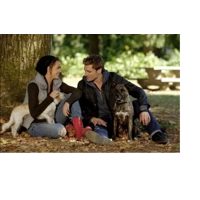 A Bride for Christmas HMK (2012) HD 1080p A Bride for Christmas HMK (2012) HD 1080p