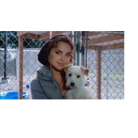 A Bride for Christmas HMK (2012) HD 1080p A Bride for Christmas HMK (2012) HD 1080p