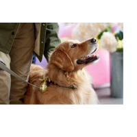 The Blessing Bracelet HMK (2023) HD 1080p