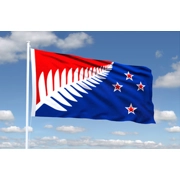 J | LARGE ORIGINAL SILVER FERN FLAG