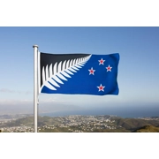 B | LARGE SILVER FERN FLAG