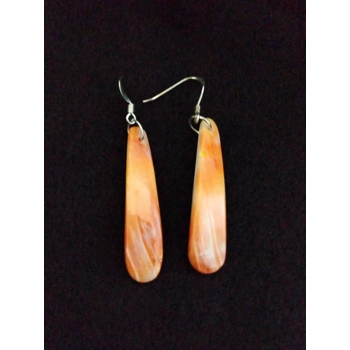 Shell Earrings