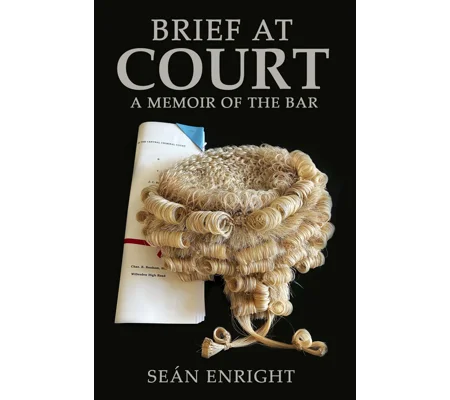 Brief at Court: A Memoir of the Bar