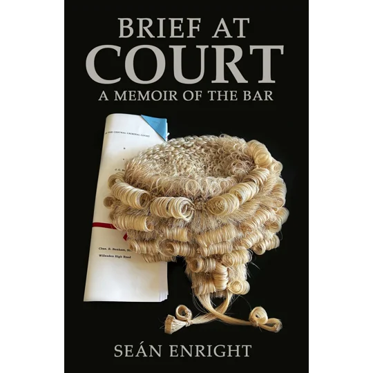 Brief at Court: A Memoir of the Bar