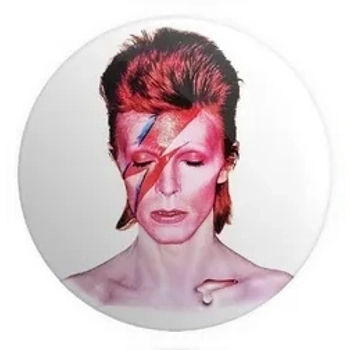 David Bowie CD Bundle