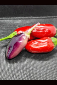 Big pit x Jalapeno purple tiger f2 Green variegated Big pit x Jalapeno purple tiger f2 Green variegated