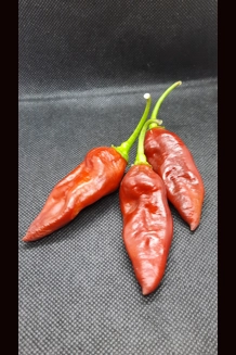 SMOOTH CHOCOLATE PURPLE (f4) SMOOTH CHOCOLATE PURPLE (f4)
