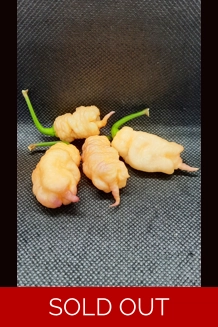 Reaper Pink peach (f7) Reaper Pink peach (f7)