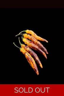 TIGER JOLOKIA peach (f7)->(f8)  (10+seeds)