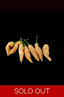 FADDAS BLACK & CREAM (F5)->  (F6) (10+seeds)