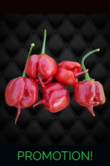FADDAS REAPER PERFUME Red (f4)-> (f5) (10+seeds)