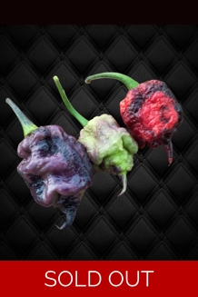 Purple Death FP Red (f7) -> (f8) (10+seeds)