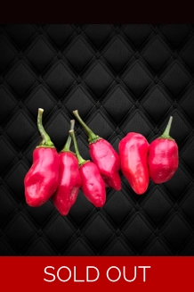 NEYDE RED SAVINA (F5)->(f6) (10+seeds)