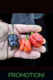 BBM X POCKMARK Red (f4) -> (f5)  (10+seeds)
