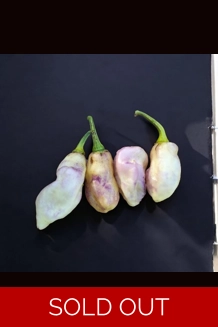 CGN21500 7POT B. x FADDAS WHITE (f6) -> (f7) whi..