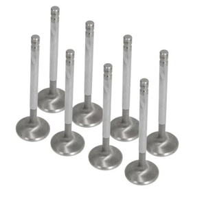 Intake Valve 46mm