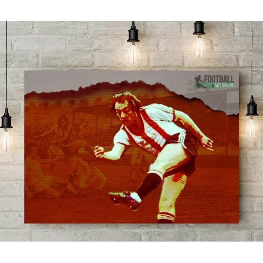 Exeter City FC Tony Kellow Iconic Legend Canvas Print