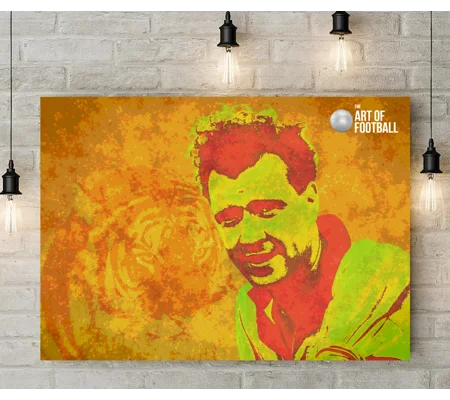 Hull Andrew Davidson Iconic Legend Canvas Print