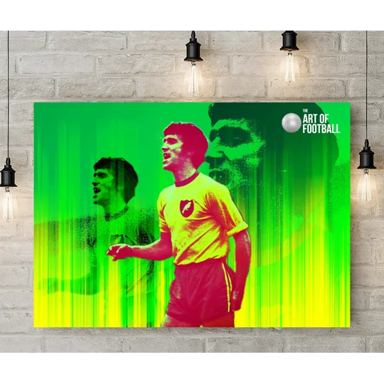 Norwich Duncan Forbes Legend Pop-art Canvas Print