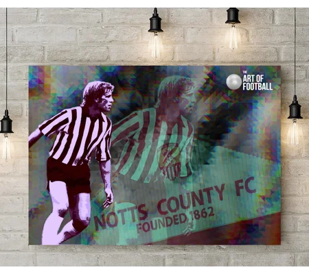 Notts C Les Bradd Iconic Pop-art Canvas Print