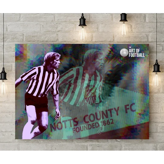 Notts C Les Bradd Iconic Pop-art Canvas Print