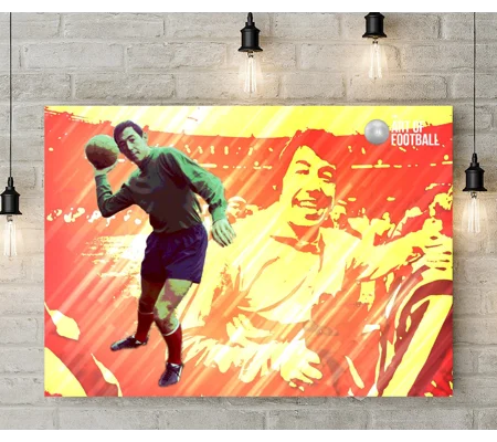 Stoke City FC Gordon Banks Legend Pop-art Canvas Print