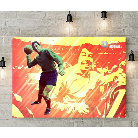 Stoke City FC Gordon Banks Legend Pop-art Canvas Print