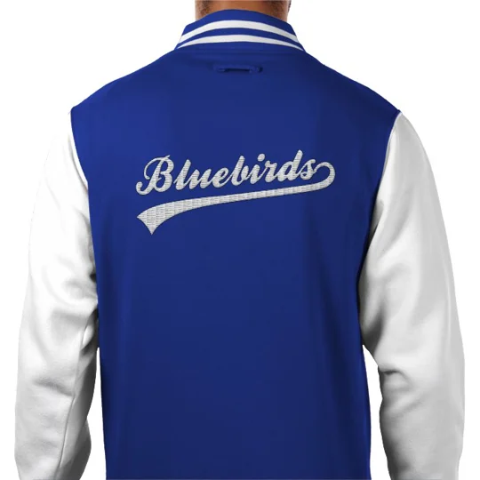 Bluebirds-inspired retro varsity jacket with embroidered front and contrast sleeves