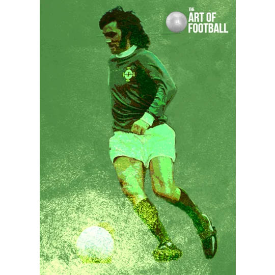 Northern Ireland George Best Iconic Legend T-shirt