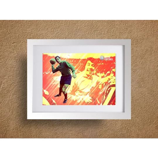 Stoke Gordon Banks Legend Pop-art Framed Print