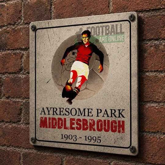 Ayresome Park vintage metal wall sign Middlesbrough-inspired football gift