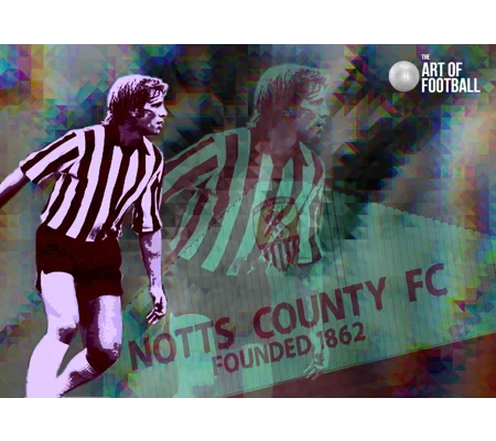 Notts C Les Bradd Iconic Pop-art Digital Print