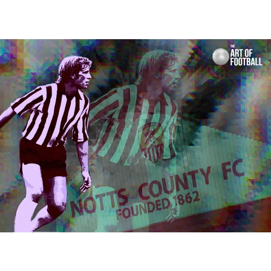 Notts C Les Bradd Iconic Pop-art Digital Print