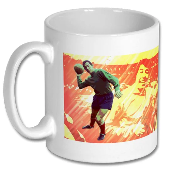 Stoke Gordon Banks Legend Pop-art Mug