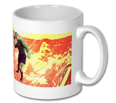 Stoke Gordon Banks Legend Pop-art Mug