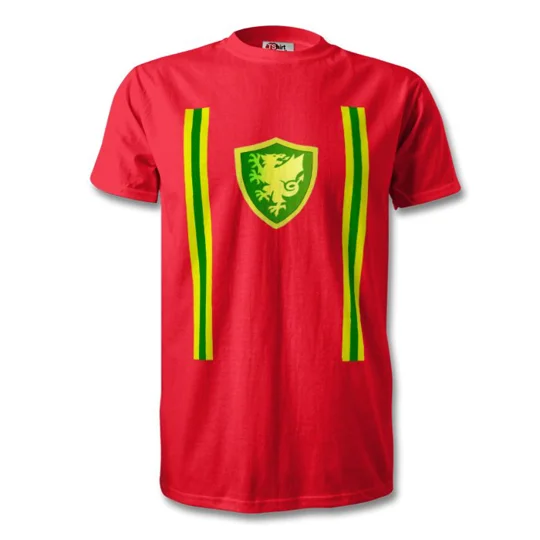 Wales Retro 1970s-Inspired Fan T-Shirt